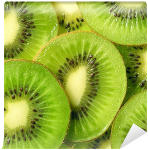 Designs Inspired By Nature (400x400), Png Download
