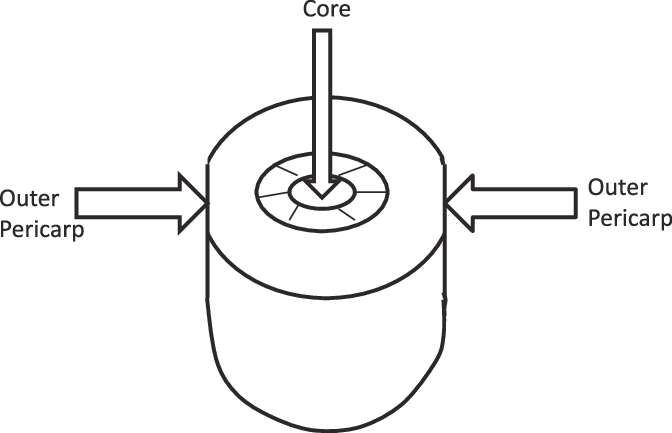 Schematic Diagram Of Firmness Measurement Of Outer - 90 Degree Arrow (672x433), Png Download