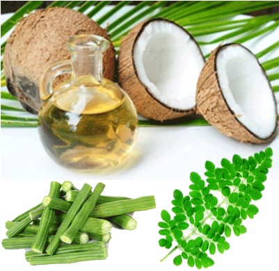 Coconut & Drumstick - Heal Your Metabolism By Kate Deering 9781511585620 (400x400), Png Download
