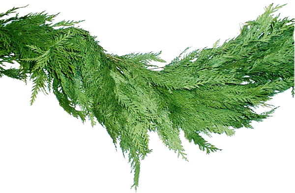 The Joy Of Christmas - Garland (600x393), Png Download