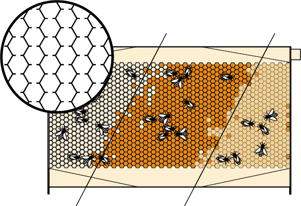 Reset Frame Closed Gallery1710 Nov1155552 Image - Flow Hive Honey Harvesting (588x403), Png Download