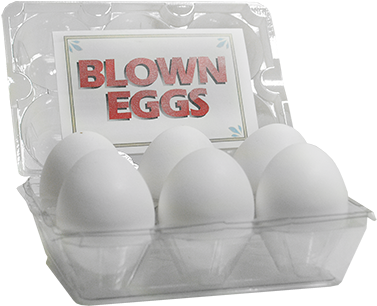 High Quality Blown Eggs By The Great Gorgonzola - White Eggs Pack Of 6 (400x400), Png Download