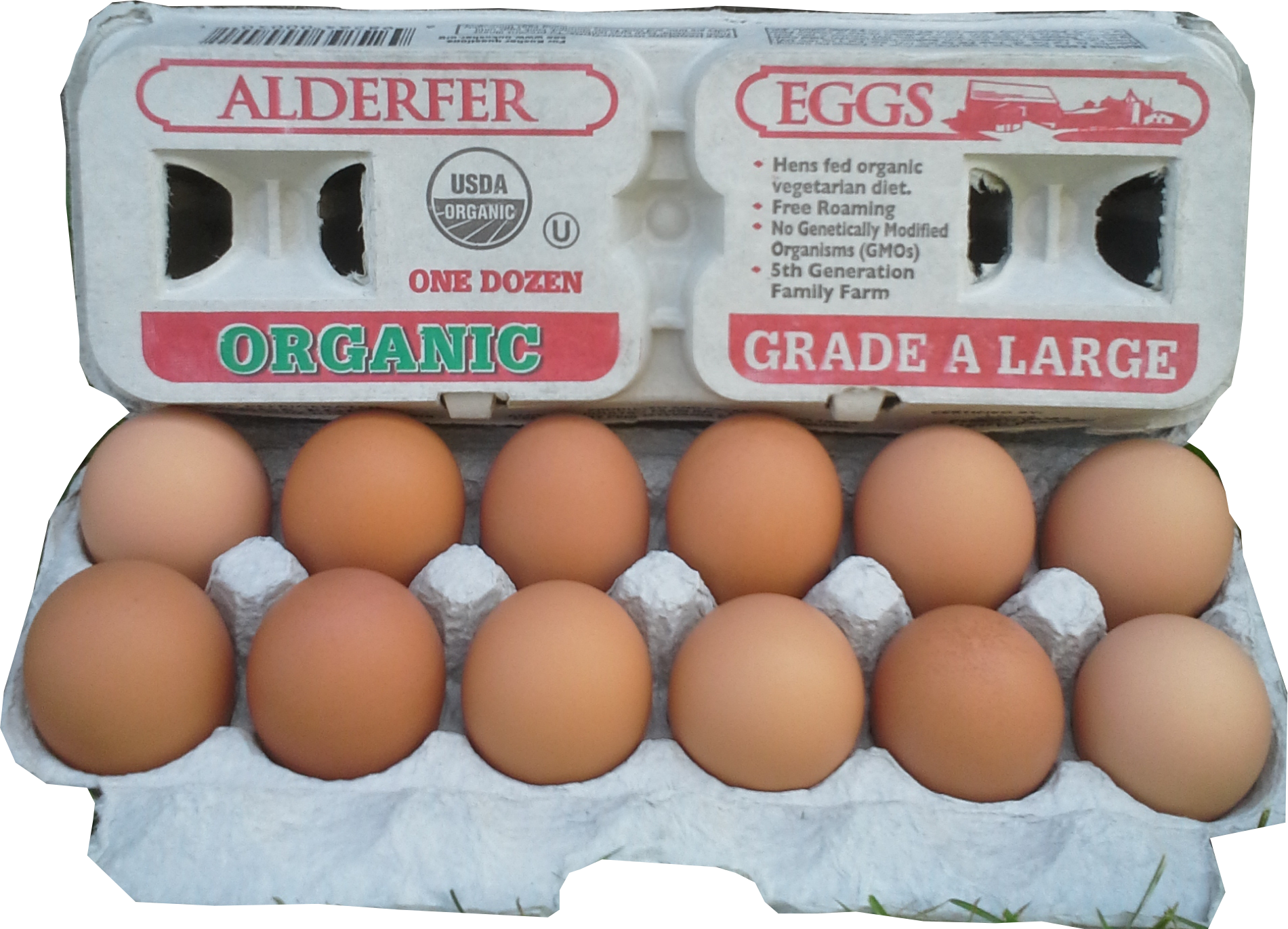 Alderfer Organic Eggs Are Both White And Brown, Paper - Alt Attribute (1901x1372), Png Download