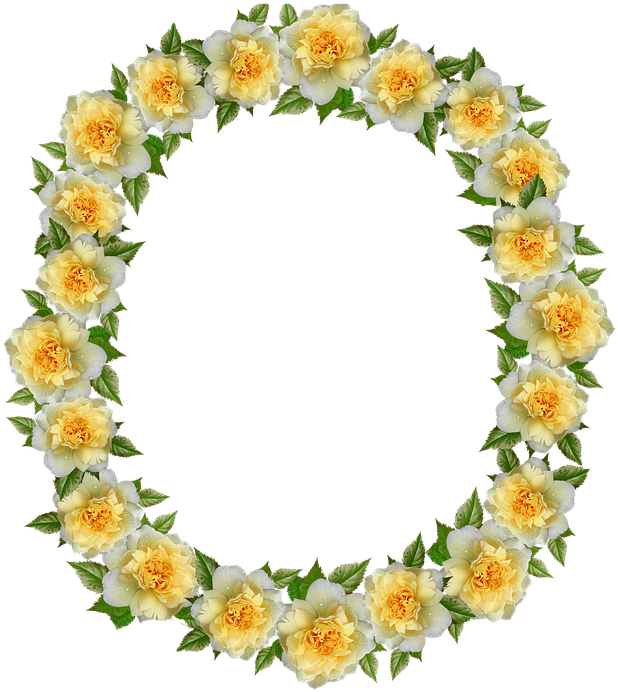 Frame, Border, Roses, Floral, Decoration - Rose (638x720), Png Download