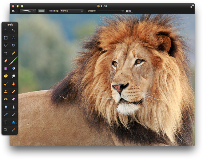 Open An Image That Has An Area Or Object You'd Like - Objects That Are Brown In Color (660x517), Png Download