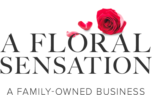 A Floral Sensation - Matratzenschutz24 Procave Mattress Storage Bag, Plastic, (545x341), Png Download