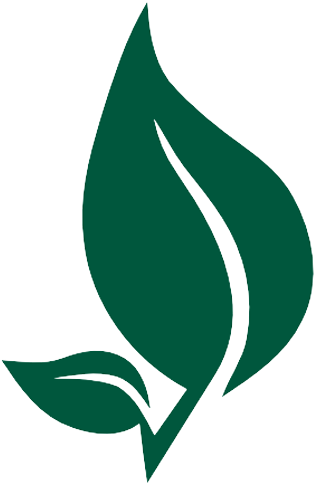 Anuja Ayurveda Dhule Leaf Logo - Ayurveda Leaf Clipart (500x500), Png Download