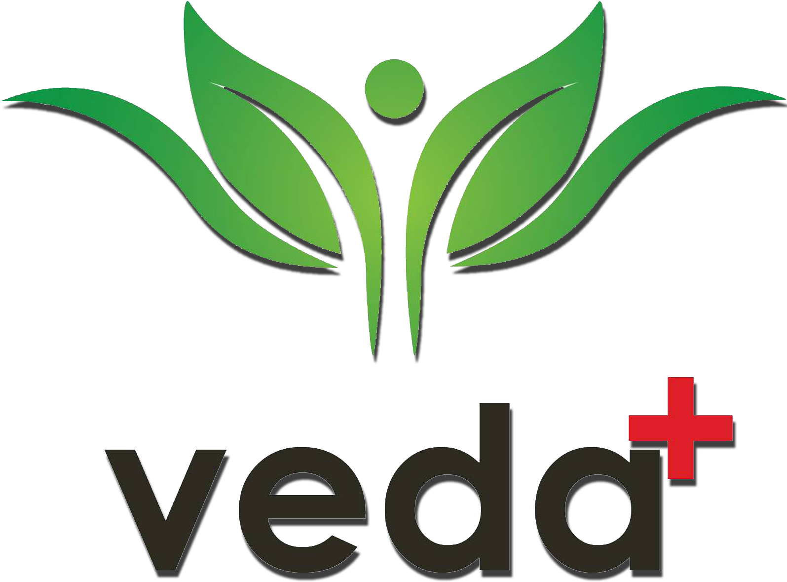 Veda Ayurveda Chikitsa Kendra - Tijera De Color Verde (1594x1512), Png Download