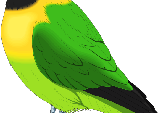 New Pictures 2018 Birds Clipart Full Colorful Images - Bird Clipart (678x381), Png Download