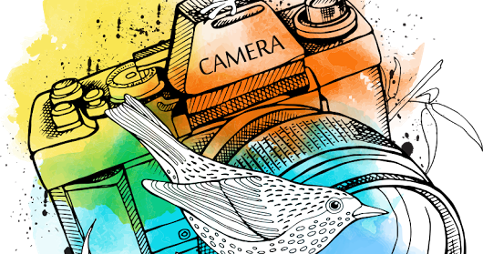 Dslr Camera Apply Abstract Effect Png Image - 相機 插畫 (530x279), Png Download