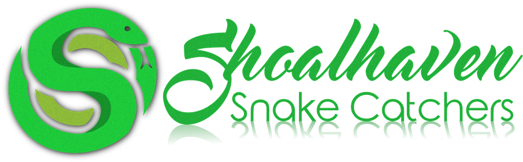 Shoalhaven Snake Catchers (1024x356), Png Download