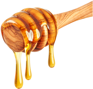 Picture - Honey With No Background (400x393), Png Download