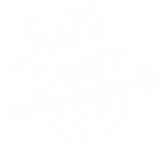 Safa-chatt Previous Item Twenty 20 Next Item Sona Chandi - Poster (601x601), Png Download