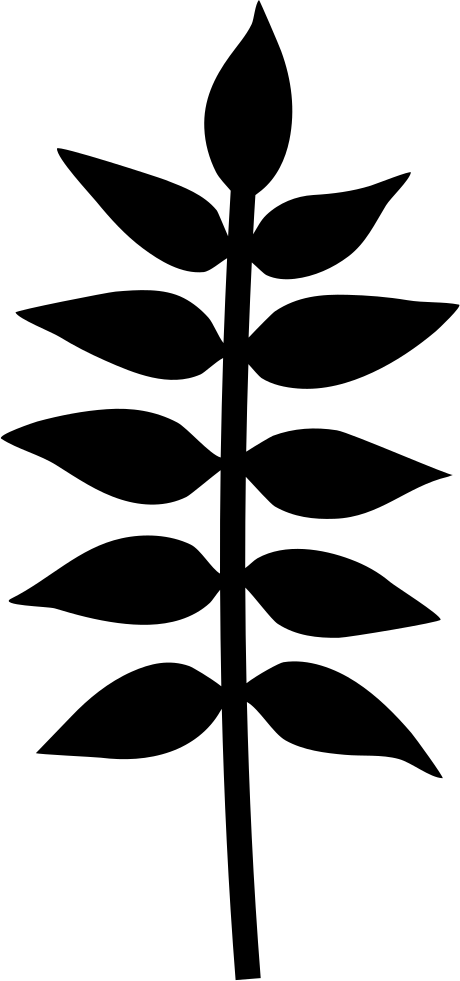 Plant Branch With Leaves Vector - Branch With Leaves Icon (400x400), Png Download