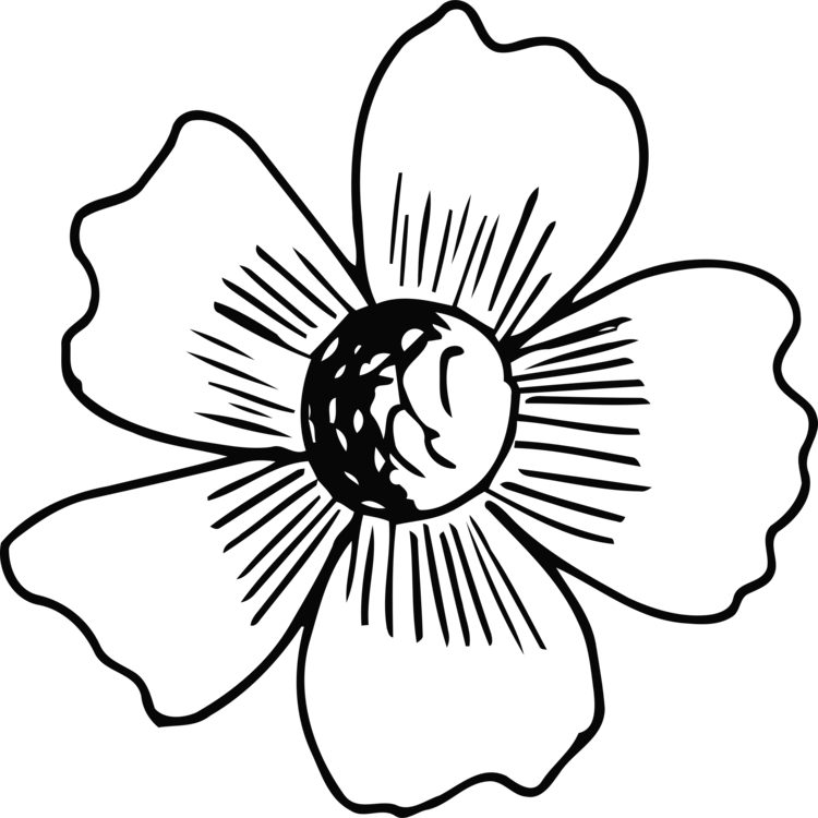 Floral Design Line Art Flower Monochrome Black And - Flower (750x750), Png Download