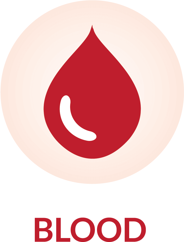 Download Blood Bank Logo Full Size PNG Image PNGkit