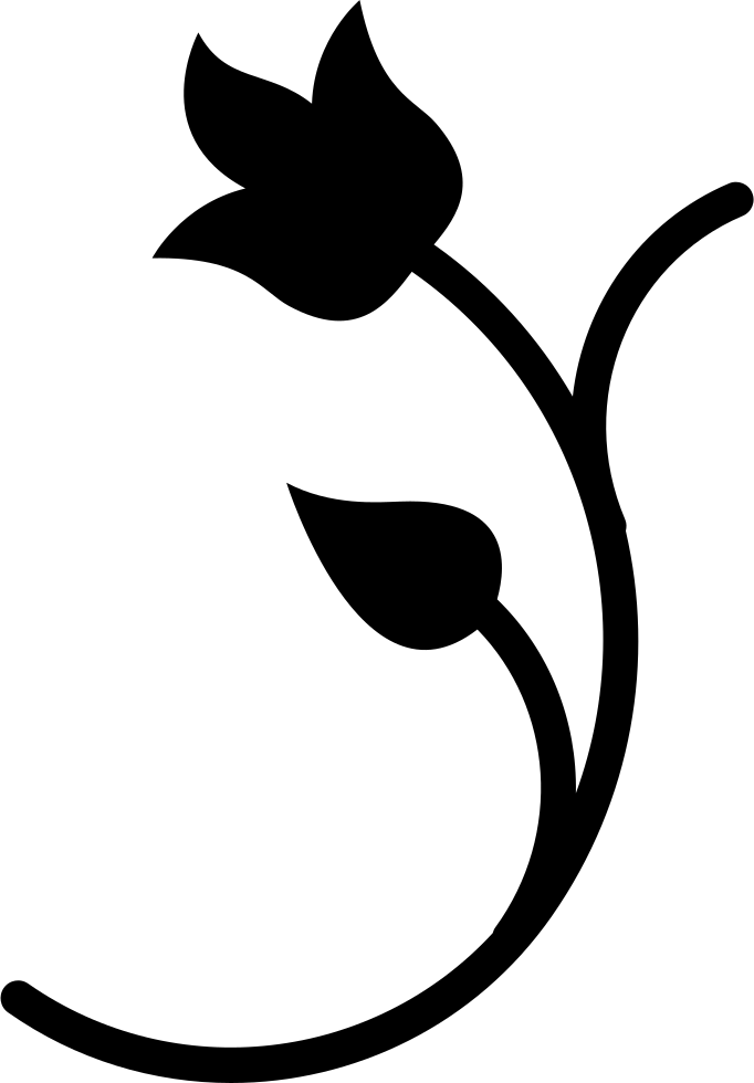 Floral Design Silhouette - Flower Silhouette Icon Png (682x980), Png Download