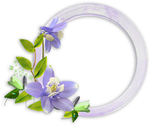 Round Flower Frame Png Download - Happy Birthday Frames For Photoshop (500x420), Png Download