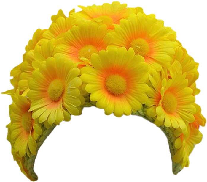 Daisy Marigold Head Crown Hair Band Bloom Flower Border - Sunflower (1024x1024), Png Download
