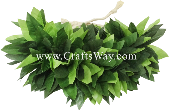 Hb-501 Hairband, Maile Braided Kupe'e 7 Inch, Maile - Grass (550x533), Png Download