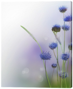 Abstract Flowers Border Design Canvas Print • Pixers® - Life Well Lived Is A Precious Gift (400x400), Png Download