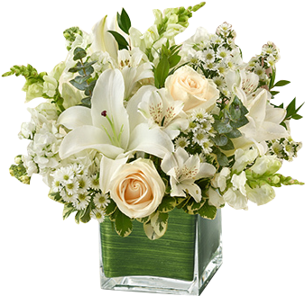 Healing White Flowers In Houston, Tx - Healing Tears - Multicolor Bright - Flowers By 1-800 (345x377), Png Download