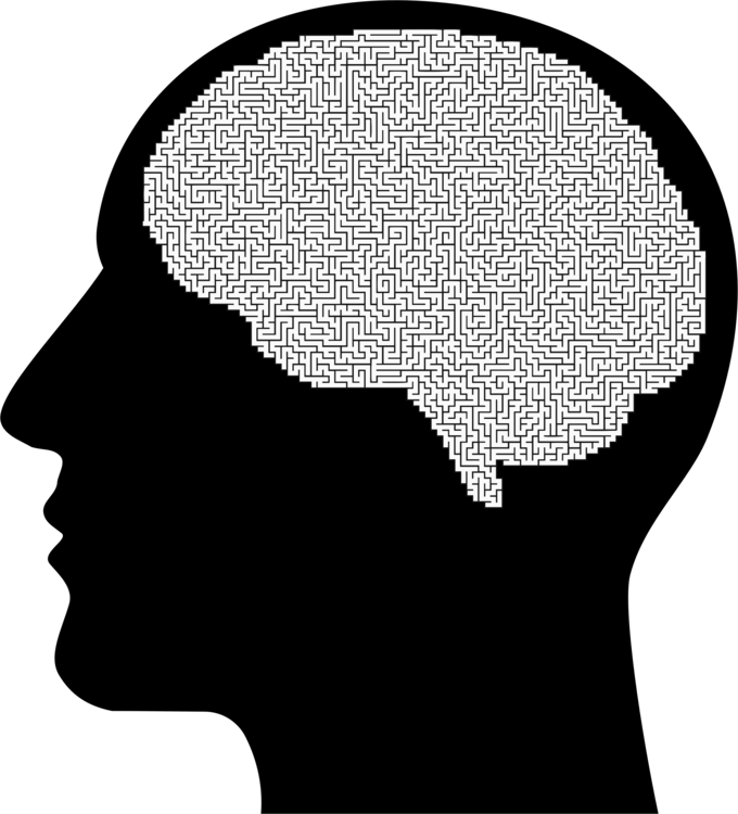 All Photo Png Clipart - Brain Silhouette (680x750), Png Download