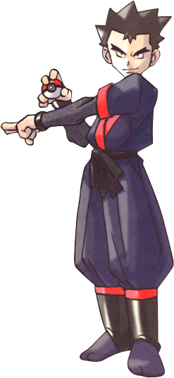 Ninjas Are Cool - Koga Kanto Gym Leaders (247x537), Png Download