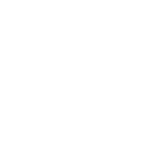 Just By Mirroring Internal Flash And Storage Resources - Management (612x612), Png Download