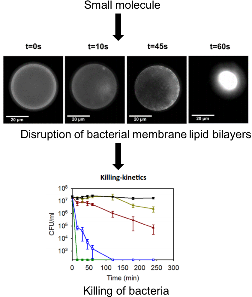 Antibiotic Resistance Continues To Be An Increasingly - Diagram (861x1033), Png Download
