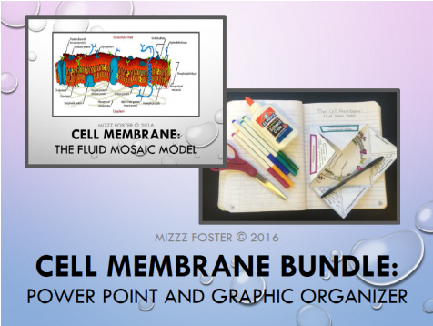 Cell Membrane Bundle" Power Point And Graphic Organizer - Cell Membrane Structure (475x475), Png Download