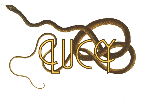 Lucyheader - Coach-whip Snake (coluber Flagellum) (490x359), Png Download