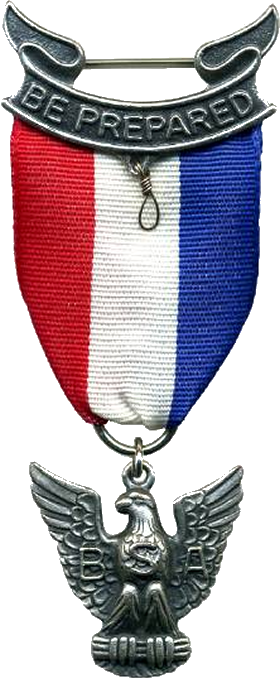 Eagle Scout Court Of Honor - Clip Art Eagle Scout Medal (280x679), Png Download