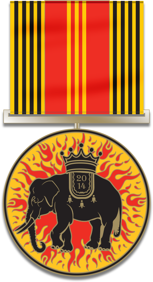 2014 Medal Of High Honor Edition Of 350 Sequentially-numbered - Portable Network Graphics (531x963), Png Download