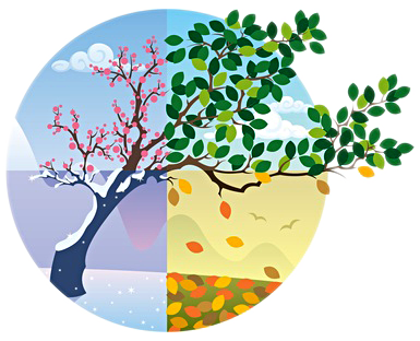 Seasons - Seasons Cycle (385x312), Png Download