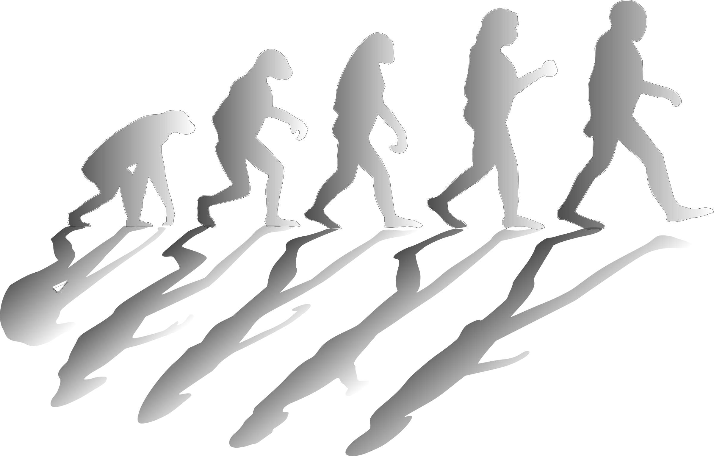 Evolve - Darwin's Contributions (2400x1532), Png Download