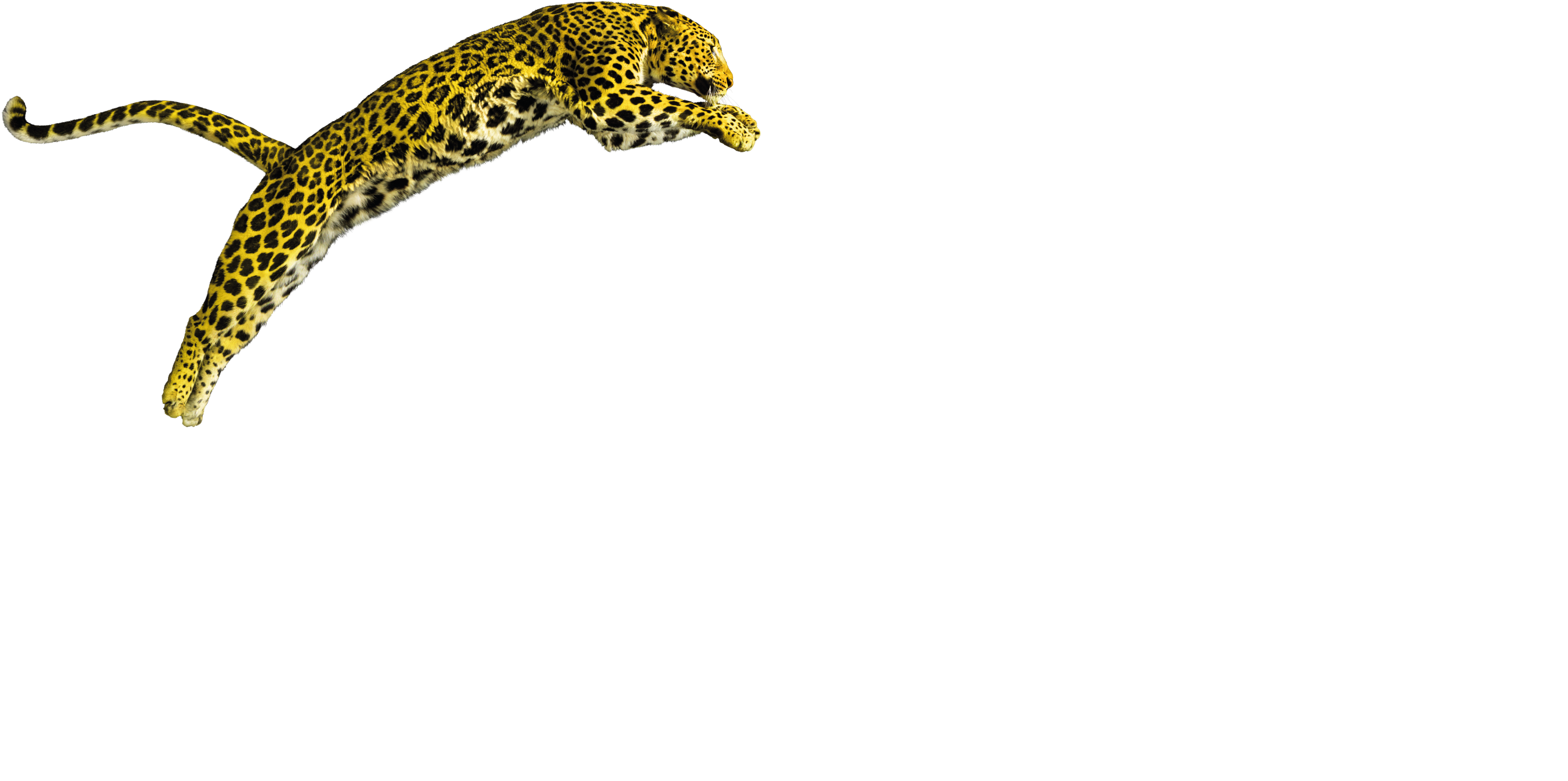 Locarno - Locarno International Film Festival (2705x1392), Png Download