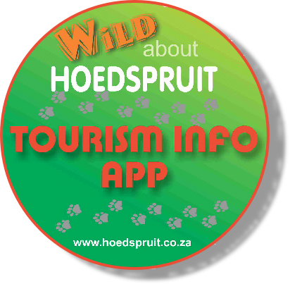 To Download The Relevant App, Either Scan The Bar Code - Hoedspruit Community Church (412x403), Png Download