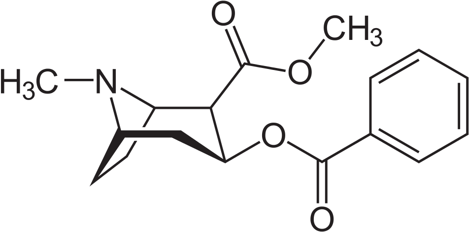 Aus Svg Automatisch Erzeugte Png-grafiken In Verschiedenen - Crack Vs Cocaine Structure (1000x494), Png Download