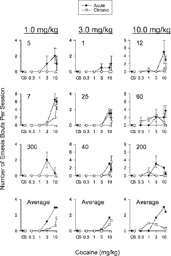 Effects Of Acute And Chronic Cocaine On Emesis - Diagram (581x866), Png Download