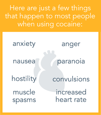 Cocaine's Dangers And Damage To The Body - .org (351x401), Png Download