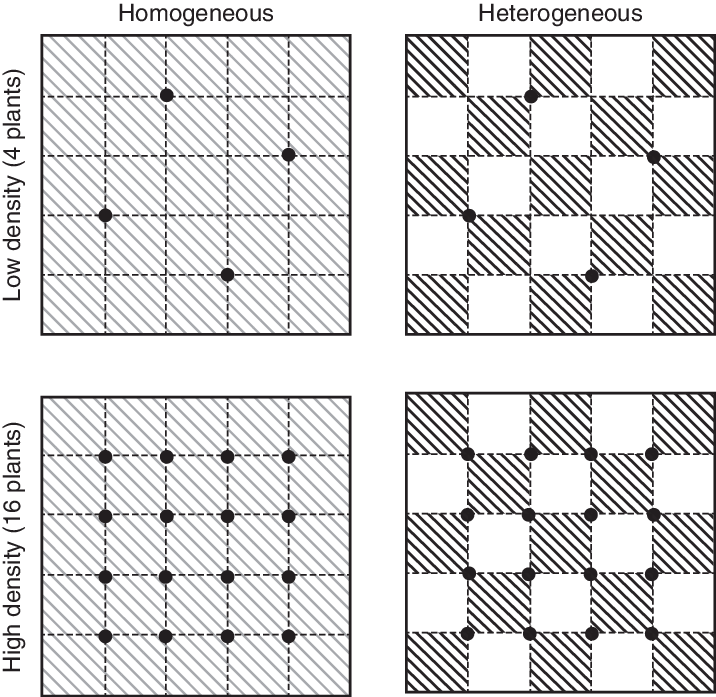 Darkly Shaded And Unshaded Squares Represent High And - Bracelet (716x697), Png Download