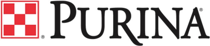Purina Launches Site To Reconnect Horses And Riders - Purina Animal Nutrition (768x432), Png Download