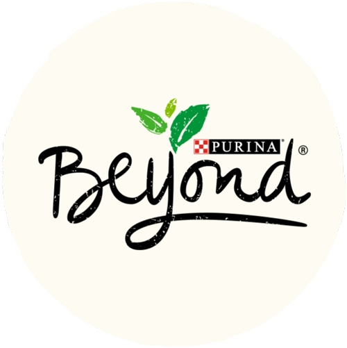 Beyond - Home - Purina Beyond Logo (500x501), Png Download