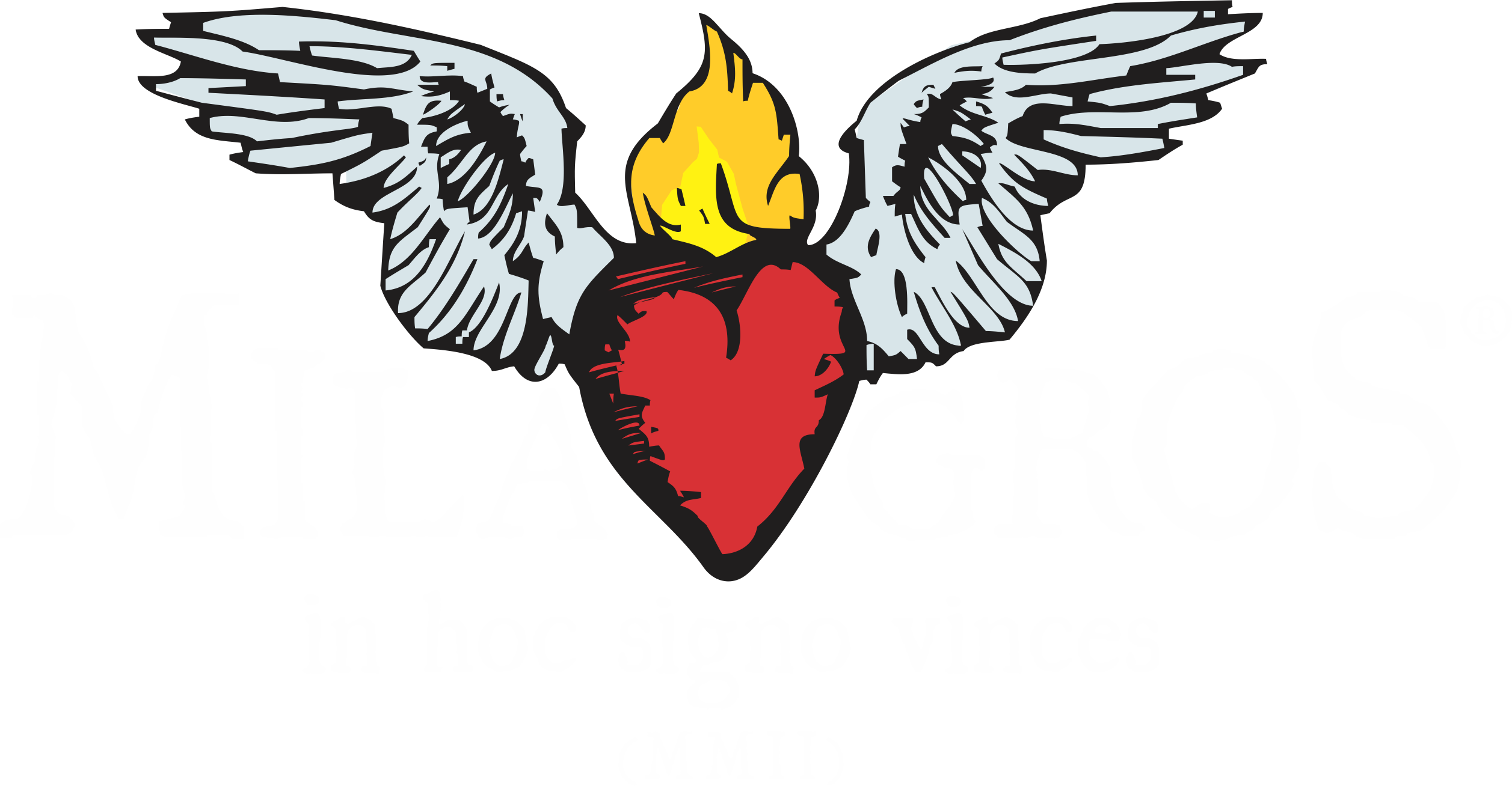 Arbusto Que Produz A Mirra - Illustration (2514x1308), Png Download