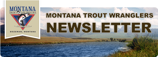 Montana Trout Wranglers Newsletter - Montana Trout Wranglers (600x200), Png Download