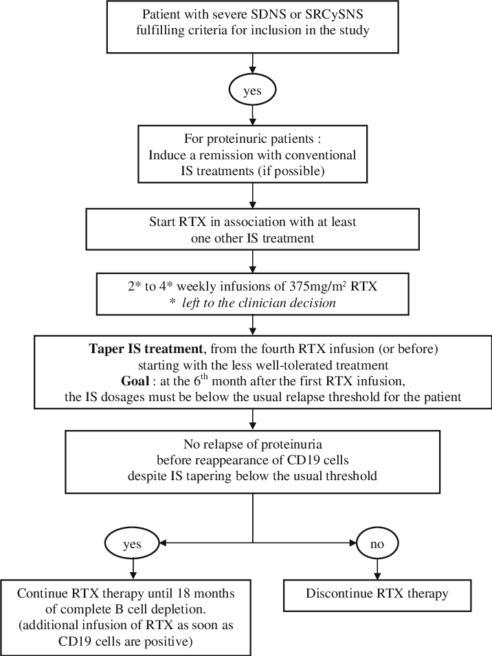 Therapeutic Guidelines For The Open Study - Therapy (716x955), Png Download