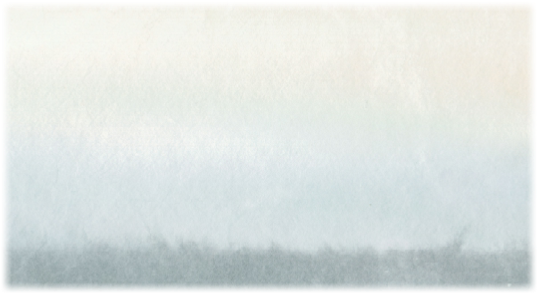 Beige (558x314), Png Download