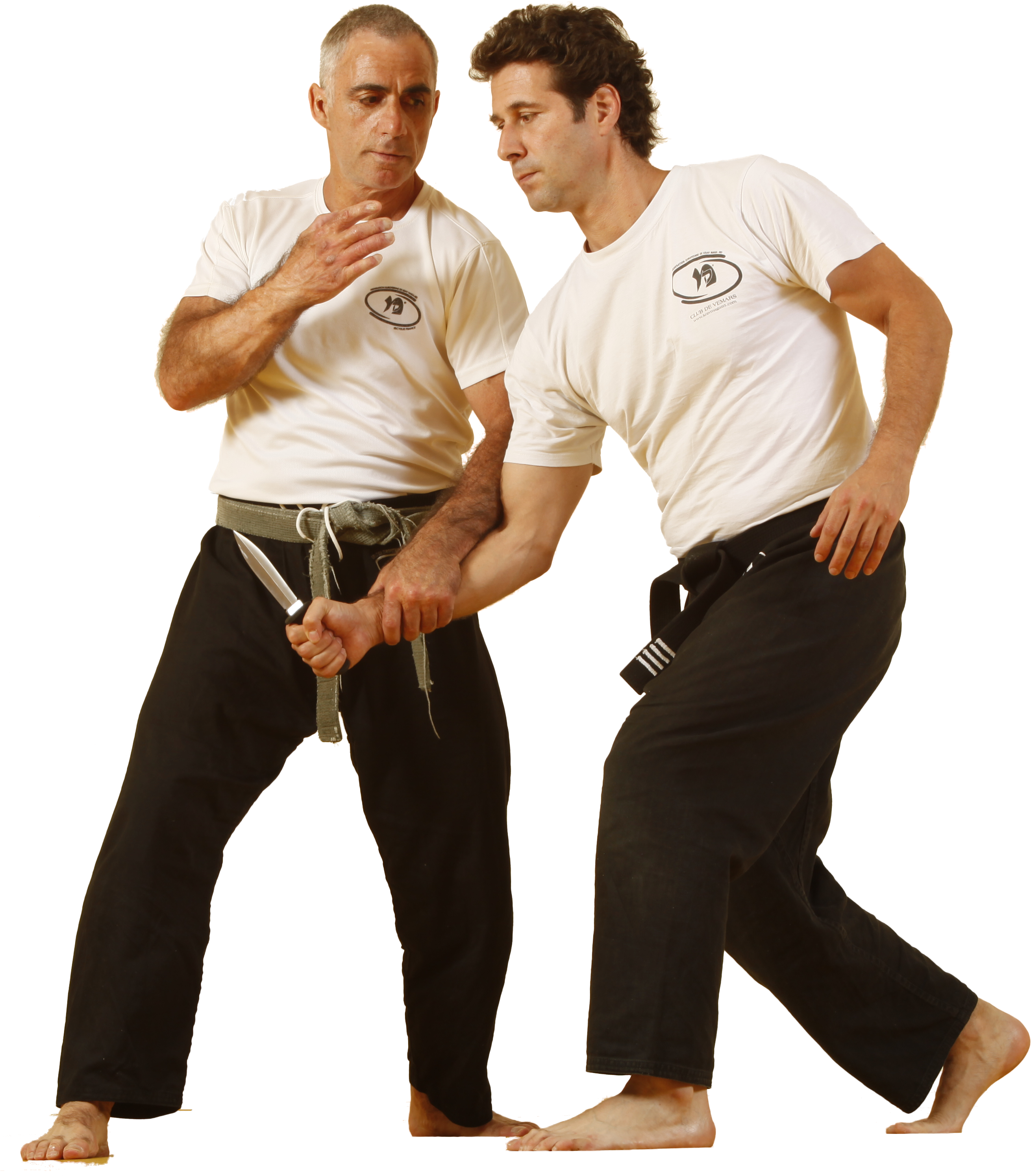 Teaching Krav Maga - Jujutsu (4252x3402), Png Download