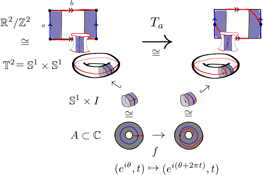 Dehn Twist For The Torus - Dehn Twist (1024x768), Png Download